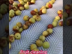 Brosse à rouleaux en nylon personnalisée avec/sans arbre pour machine industrielle de pellicule de pommes de terre